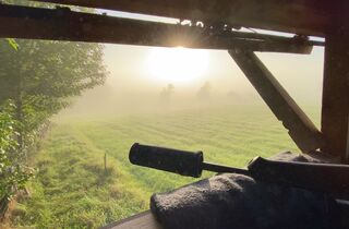 Ausblick Hochsitz Sonnenaufgang