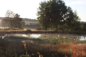 Ausbildungsrevier Markt Wald