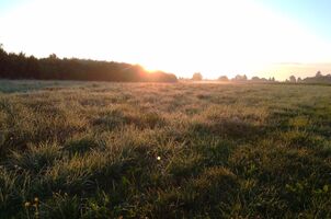 Ausbildungsrevier Lengenfeld